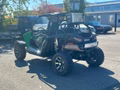 Daumennagel 9 - Arctic Cat Wildcat 1000i 2WD/4WD 2-Sitzer TÜV 09/28 AHK