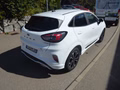 Daumennagel 3 - Ford Puma ST-Line