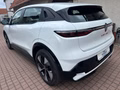 Daumennagel 2 - Renault Megane E-TECH Megane E-Tech Electric Equilibre