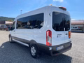 Daumennagel 2 - Ford Transit Kombi 350 L3 Trend Behindertengerecht