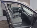 Daumennagel 16 - Skoda Fabia 1,0TSI DSG 2-Z.Klimaaut/Winterp/Temp/LED/Pdc