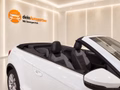 Daumennagel 32 - Volkswagen T-Roc Cabriolet R-Line Leder Navi PDC