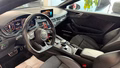 Daumennagel 11 - Audi A5 Coupe quattro sport S LNE