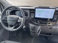 Daumennagel 7 - Ford Transit 350 L4 VA Trend Kofferaufbau Junge