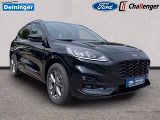 Ford Kuga Gebrauchtwagen Kaufen