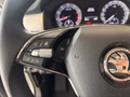 Daumennagel 26 - Skoda Kodiaq Tour  AHK/CAR-PLAY