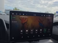 Daumennagel 49 - Skoda Kodiaq 2,0TDI DSG 4x4 aAHK/7-Sitzer/Matrix/Navi/el.Klappe   **