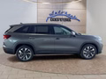 Daumennagel 6 - Skoda Kodiaq 2,0TDI DSG 4x4 aAHK/7-Sitzer/Matrix/Navi/el.Klappe   **