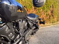 Daumennagel 9 - Indian Scout 101 Limited + Tech MY 2026