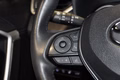 Daumennagel 9 - Toyota RAV 4 RAV4 Hybrid 4x4 Style Selection