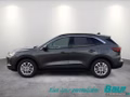Daumennagel 3 - Ford Kuga 2.5 Duratec PHEV TITANIUM Winter-Paket LED