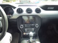 Daumennagel 16 - Ford Mustang GT Fastback aus 1. Hand