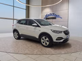 Daumennagel 7 - Opel Grandland X 1.2T 130PS AHK/Alu/Kamera/Winterp.