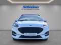 Daumennagel 8 - Ford Kuga Plug-In Hybrid ST-Line