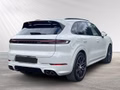 Daumennagel 7 - Porsche Cayenne E-Hybrid
