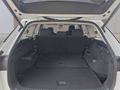 Daumennagel 17 - Skoda Kodiaq 2,0TDI DSG 4x4 aAHK/7-Sitzer/Matrix/Navi/el.Klappe   **