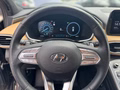 Daumennagel 6 - Hyundai SANTA FE 1.Hand, Checkheft, Panoramaschiebedach, MwSt. ausweisbar