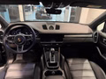 Daumennagel 17 - Porsche Cayenne E-Hybrid Platinum Edition