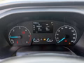 Daumennagel 12 - Ford Transit Custom Kasten 300 L2H2 Spur/Kamera/AHK