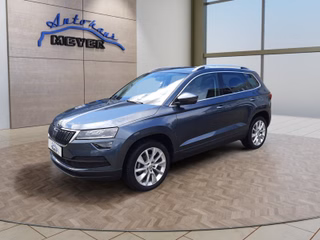 Skoda Karoq Gebrauchtwagen Kaufen