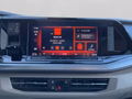 Daumennagel 15 - Volkswagen T7 Multivan Goal TDI DSG AHK+Pano+Matrix+ACC+7-Sitze