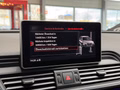 Daumennagel 29 - Audi SQ5 3.0 TDI quattro STHZ|AHK|360 |HUD|ACC|CARBON|