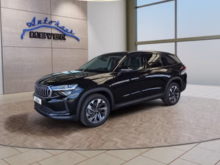 Skoda Kodiaq age.one-day registration Kaufen