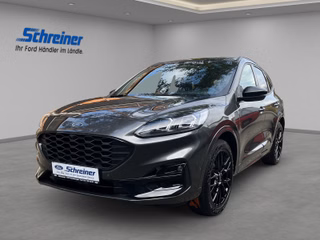 Ford Kuga Gebrauchtwagen Kaufen