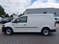 Daumennagel 2 - Volkswagen Caddy Nfz Maxi Kasten BMT/AHK/PDC/Regalsystem