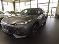 MG HS 1.5 T GDI 125 kW Luxury Aut./LED/LEDER/|360° - bilder 3