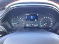 Daumennagel 8 - Ford Fiesta 1.0 EcoBoost Hybrid S&S ST-LINE X Winter