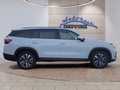 Daumennagel 7 - Skoda Kodiaq 2,0TDI DSG 7-Sitzer/Matrix/Navi/ACC/el.Klappe/Kamera  **