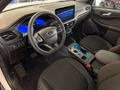 Daumennagel 7 - Ford Kuga FHEV Hybrid ST-Line