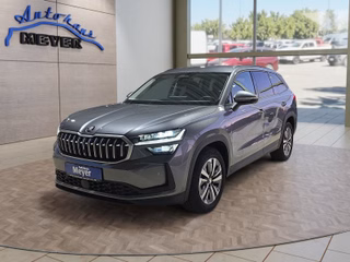 Skoda Kodiaq age.one-day registration Kaufen