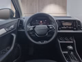 Daumennagel 14 - Skoda Karoq 1,5TSI DSG 18*Alu/aAHK/ACC/Kamera/Winterp.       **