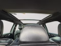 Daumennagel 20 - Porsche Cayenne S E-Hybrid Platnum Edition NAVI/LEDER/PANO/BI-XENON/RFK/LUFT