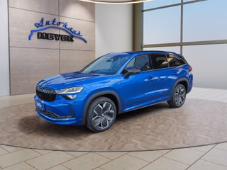 Skoda Kodiaq age.one-day registration Kaufen