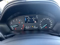 Daumennagel 14 - Ford Puma Titanium - Fahrer Assist.Paket - Winter Paket - Top