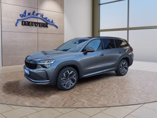 Skoda Kodiaq age.one-day registration Kaufen