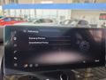 Daumennagel 41 - Nissan Qashqai N-Design 1.5 VC-T e-POWER UPE=50500 Euro **