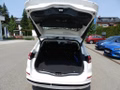 Daumennagel 11 - Ford Mondeo Turnier 2.0 Duratec Hybrid ACC/RFK/BLIS