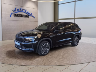 Skoda Kodiaq age.one-day registration Kaufen
