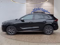 Daumennagel 2 - CUPRA Terramar 1.5 eTSI DSG ACC/Kessy/el.Klappe/Winterp.