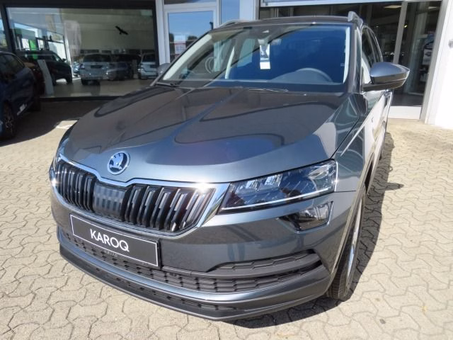 Skoda Karoq 1.6 TDI Soleil 5 Jahre Garantie 100 TKM, Amundsen, PDC, Kamera,