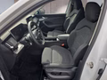 Daumennagel 10 - Skoda Kodiaq 2,0TDI DSG 4x4 aAHK/7-Sitzer/Matrix/Navi/el.Klappe   **