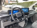Daumennagel 10 - Ford Transit Custom Kasten 320 L1 Trend FWD