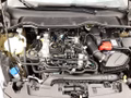 Daumennagel 16 - Ford Fiesta 1.0 EcoBoost Hybrid S&S ST-LINE NAVI LED