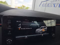 Daumennagel 43 - Skoda Kamiq Monte Carlo 1,5TSI DSG 4*J.Gar/AHK/18*Alu/el.Klappe  **
