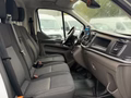 Daumennagel 8 - Ford Transit Custom Kasten 320 L2H2/Auto/Tür2x/AppleC