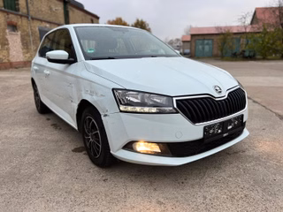 Skoda Fabia Gebrauchtwagen Kaufen